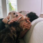 Rachel Skarsten Instagram – With a very heavy and quite frankly broken heart I said goodbye to my sweet Magnus yesterday. Anyone who follows me here is probably an animal lover so you know that pets can become more than just pets, they become family. Magnus was with me through many ups and downs, moved 6 times with me, made me smile/laugh every day even when I was sad, and from the minute I brought him home from the shelter he made himself right at home in my heart and life. Saying goodbye is inevitable when you have a senior animal, and it’s painful but so worth it. Thank you for adopting me Mags, there will only ever be one cat like you and I’m so grateful you spent your golden years with me.