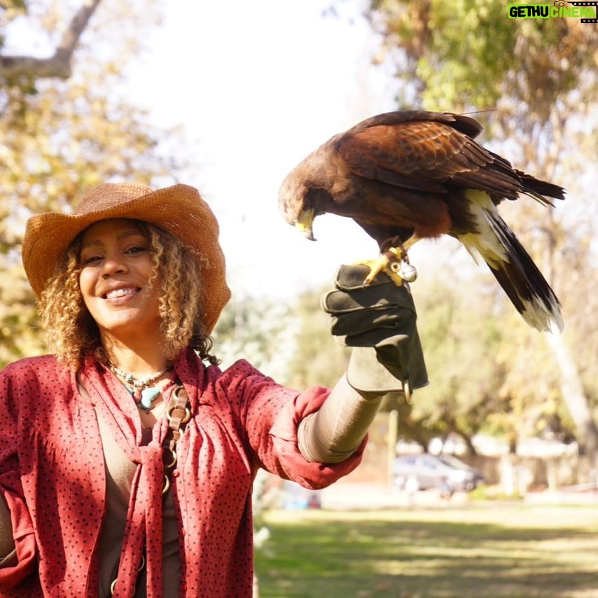 Rachel True - 12.9K Likes - Happy Birthday to moi!!
Thank you for the wishes🥳🥳🥳💜💜💜⚡️⚡️⚡️
& thank you @iamcreesummer & the gang of ♏️ for the magical @hawkonhand adventure💜 🥳 #racheltrue
For more hawk fun see my stories 🦅💜