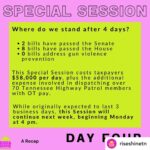 Rachelle Lefevre Instagram - Posted @withregram • @riseshinetn Day 4 is behind us and it looks like we have at least one or more days ahead. For now, we rest, reflect and regroup for next week. 📸: @mthornphoto #RiseandShineTN #UnifiedTN #tnspecialsession #tnleg