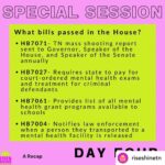 Rachelle Lefevre Instagram - Posted @withregram • @riseshinetn Day 4 is behind us and it looks like we have at least one or more days ahead. For now, we rest, reflect and regroup for next week. 📸: @mthornphoto #RiseandShineTN #UnifiedTN #tnspecialsession #tnleg