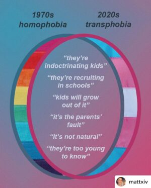 Rachelle Lefevre Instagram - Every slide here is gold. 🌈🩷🌈🩷🌈
Posted @withregram • @mattxiv