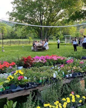 Rachelle Lefevre Instagram - Thank you so much to @1hotel.nashville @greendoorgourmet @chriscrary @dan_churchill for an extraordinary “Earth Month Dinner” at the farm. We couldn’t have asked for better weather, better guests, or better food! It’ll be stalking you for tickets again next year 😉 Chris, you have always been driven and put work first, I hope you are proud of all you’ve achieved 🥰