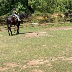 Racquel Palmer Instagram - Saturdays we ride 🐎 @dianayvettepalmer