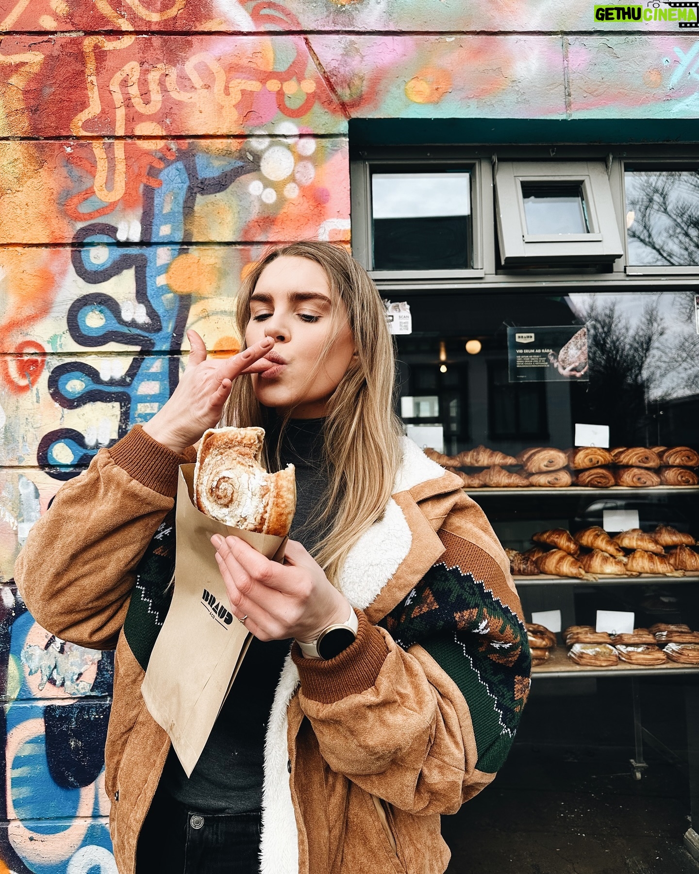 Ragga Ragnars Instagram - Come to Iceland, we’ve got baked goods! 🇮🇸 …and waterfalls, hot springs, mountains and the works! You get the picture! Get all my tips and secrets on how to enjoy Iceland with my Iceland guide (link in bio) #icelandtravel #iceland #icelandguide #icelandtour #visiticeland This is an ad for my own product