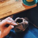 Ragga Ragnars Instagram - A random selection of pics to describe a day and a half spent in London. With friends. Knitting. Drinking tea. On a boat. In a backless outfit. Having fun. 🤍 #london #girlsnight #boatlife