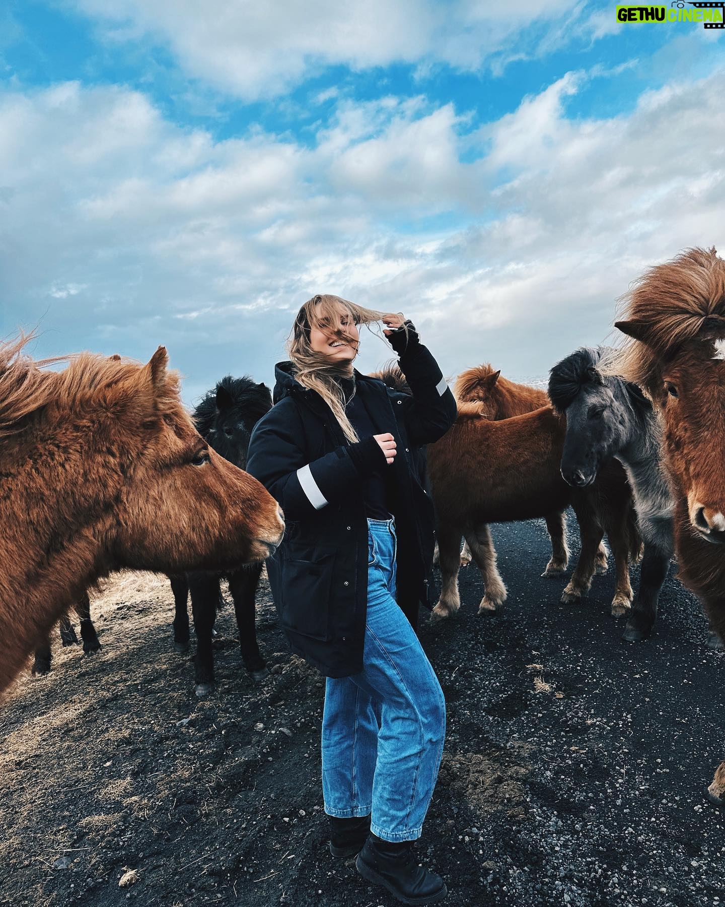 Ragga Ragnars Instagram - Just a whole bunch of horse content and trying to keep my hair out of my face in the beautiful March weather we are having here in Iceland. 🐎 #windy #iceland #horses #icelandichorse