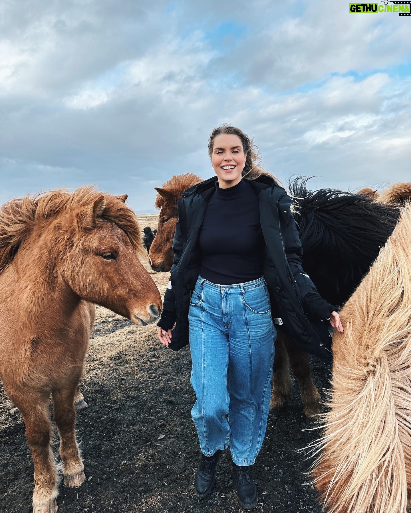 Ragga Ragnars Instagram - Just a whole bunch of horse content and trying to keep my hair out of my face in the beautiful March weather we are having here in Iceland. 🐎 #windy #iceland #horses #icelandichorse