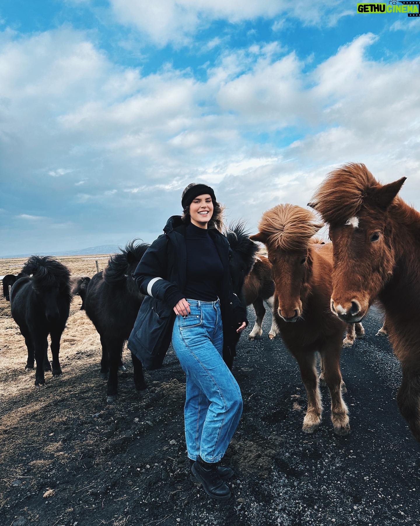 Ragga Ragnars Instagram - Just a whole bunch of horse content and trying to keep my hair out of my face in the beautiful March weather we are having here in Iceland. 🐎 #windy #iceland #horses #icelandichorse