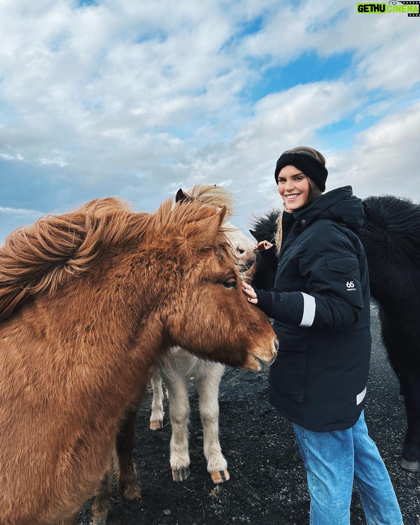 Ragga Ragnars Instagram - Just a whole bunch of horse content and trying to keep my hair out of my face in the beautiful March weather we are having here in Iceland. 🐎 #windy #iceland #horses #icelandichorse