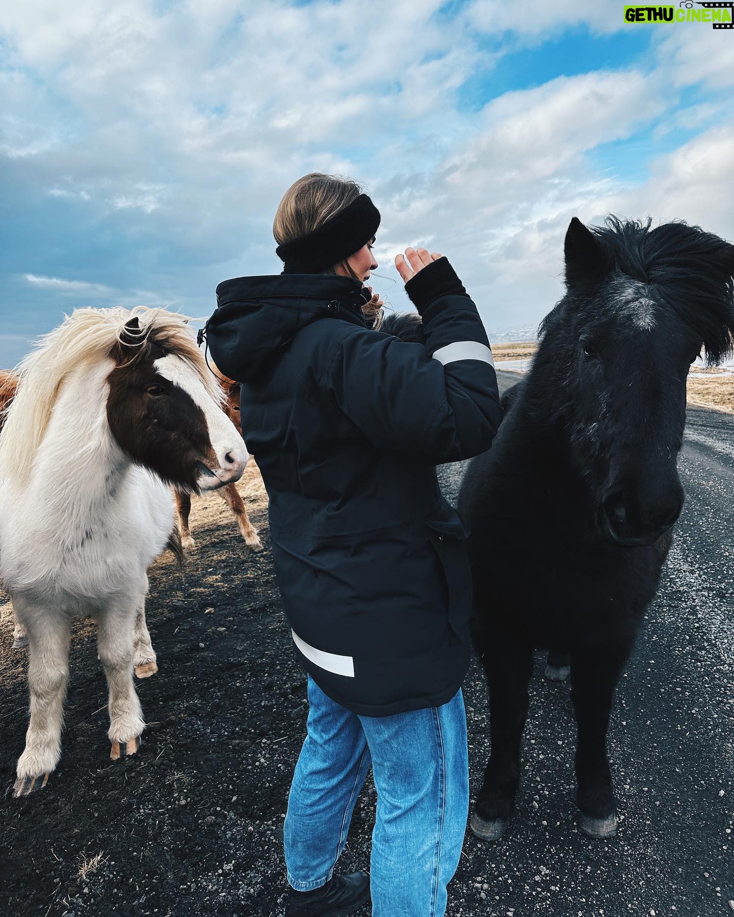 Ragga Ragnars Instagram - Just a whole bunch of horse content and trying to keep my hair out of my face in the beautiful March weather we are having here in Iceland. 🐎 #windy #iceland #horses #icelandichorse