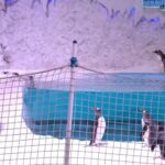 Rahma Ahmed Farag Instagram - أي حد بيفكر يعمل career shift بنرشحله وظيفة: مدربة بطاريق 🐧 زي الدكتورة نبيلة #ابن_الحاج_أحمد يعرض حاليًا بجميع دور العرض 🎬🍿