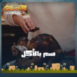 Rahma Ahmed Farag Instagram – أنستازيا ناوية تخلص عالسفير عن طريق أكل مربوحة 
مسلسل الكبير أوي الجزء الثامن على شاشة رؤيا الساعة 8:30 
#رؤيا #لمتنا_غير #الكبير_أوي8