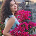 Ranjitha Menon Instagram - കടലാസ്സ്പൂക്കൾ ...💕 #bougainvillea #sunset #nature #girly #goldensky #beauty #mobilephotography #metime #enticing_gallery