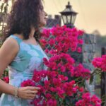 Ranjitha Menon Instagram - കടലാസ്സ്പൂക്കൾ ...💕 #bougainvillea #sunset #nature #girly #goldensky #beauty #mobilephotography #metime #enticing_gallery