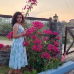 Ranjitha Menon Instagram - കടലാസ്സ്പൂക്കൾ ...💕 #bougainvillea #sunset #nature #girly #goldensky #beauty #mobilephotography #metime #enticing_gallery