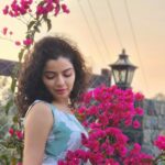 Ranjitha Menon Instagram - കടലാസ്സ്പൂക്കൾ ...💕 #bougainvillea #sunset #nature #girly #goldensky #beauty #mobilephotography #metime #enticing_gallery