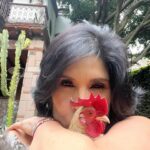 Raquel Garza Instagram - #jacinto ….. #amor #gallo#pet #petstagram #petlovers #ave
