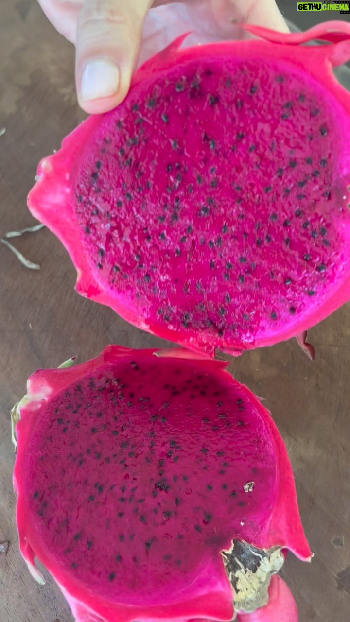 Raquel Meroño Instagram - RICO & FÁCIL SAGO INDONESIO Ingredientes Dependiendo del país en el que te encuentras utiliza la fruta que más te guste. Nosotras en Bali, Indonesia hemos optado por : Papaya Mango Aguacate Sandia Fruta del dragón Coco Agua de coco Leche de coco Sirope de grosella o granadina Perlas de sago o tapioca Fresquito y delicioso!