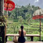 Raquel Meroño Instagram – Nosotras 💚💚 💚
#camposdearroz
#ricefields