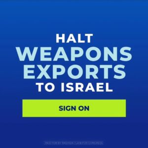 Rashida Tlaib Instagram - Our country just sent ⤵️

-1,800 MK-84 2,000-pound bombs
-500 MK-82 500-pound bombs
-25 F-35s
-Israeli government requested the third squadron of 25 F-35s last July, which when delivered will bring the total size of the fleet to 75

We need to show @potus and all those who support this genocide that Americans say enough is enough. Sign our petition. Link in bio.