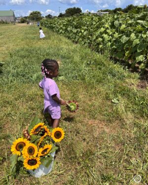 Raven Goodwin Instagram - 2023 was a year of alignment & GRACE! I'm FULL on faith & love and ready for whatever. More cooking, more gardening, more holistic practices, more spearheading. Thank you GOD for allowing me to create a loving environment for our village! We live in #inspirehills 💜⭐️ happy new year! #2024