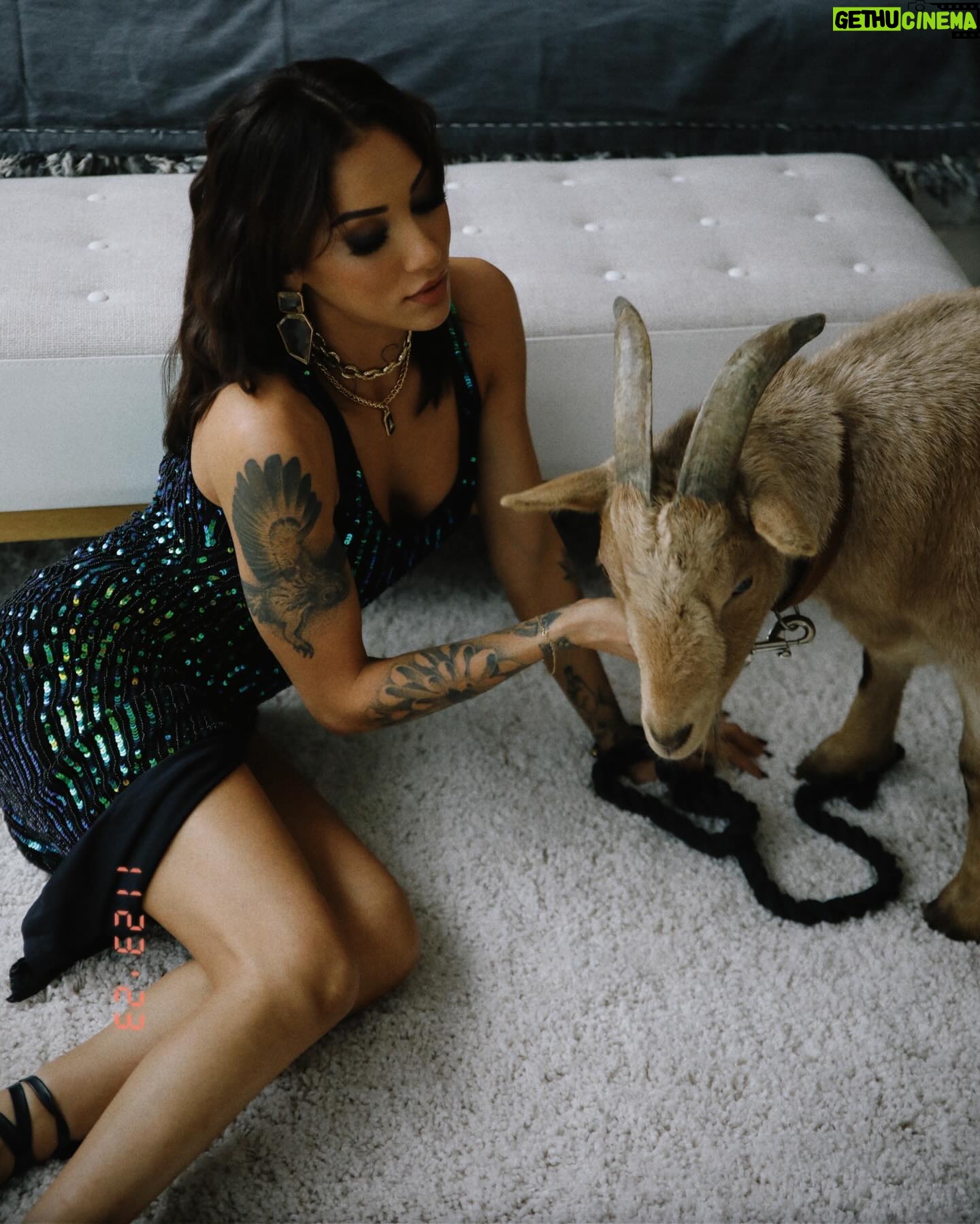 Rawell Saiidii Instagram - ✨ Glam soirée avec une touche spéciale! ✨ Célébrons le luxe avec ce look de soirée @revolve captivant, immortalisé par le talentueux - photographe @axeldelai 📸. Merci à la magicienne des pinceaux - @babyjoy___ 💄 et à la géniale - coiffeuse @hnbeautyart 💇♀️ pour cette collaboration de style. Un remerciement spécial à - @mallobrrs 🐾 pour avoir apporté une touche unique avec ce compagnon à fourrure. 🌟 Le décor somptueux a ajouté une note parfaite. Swipez pour une dose de glamour et de style! 💫 | Tenue par @revolve Lieux : @loftusine ! 🏡 #FashionMagic #LookDeSoirée #BehindTheScenes #CompagnonÉlégant 🐾 #CréativitéEnAction 🎨