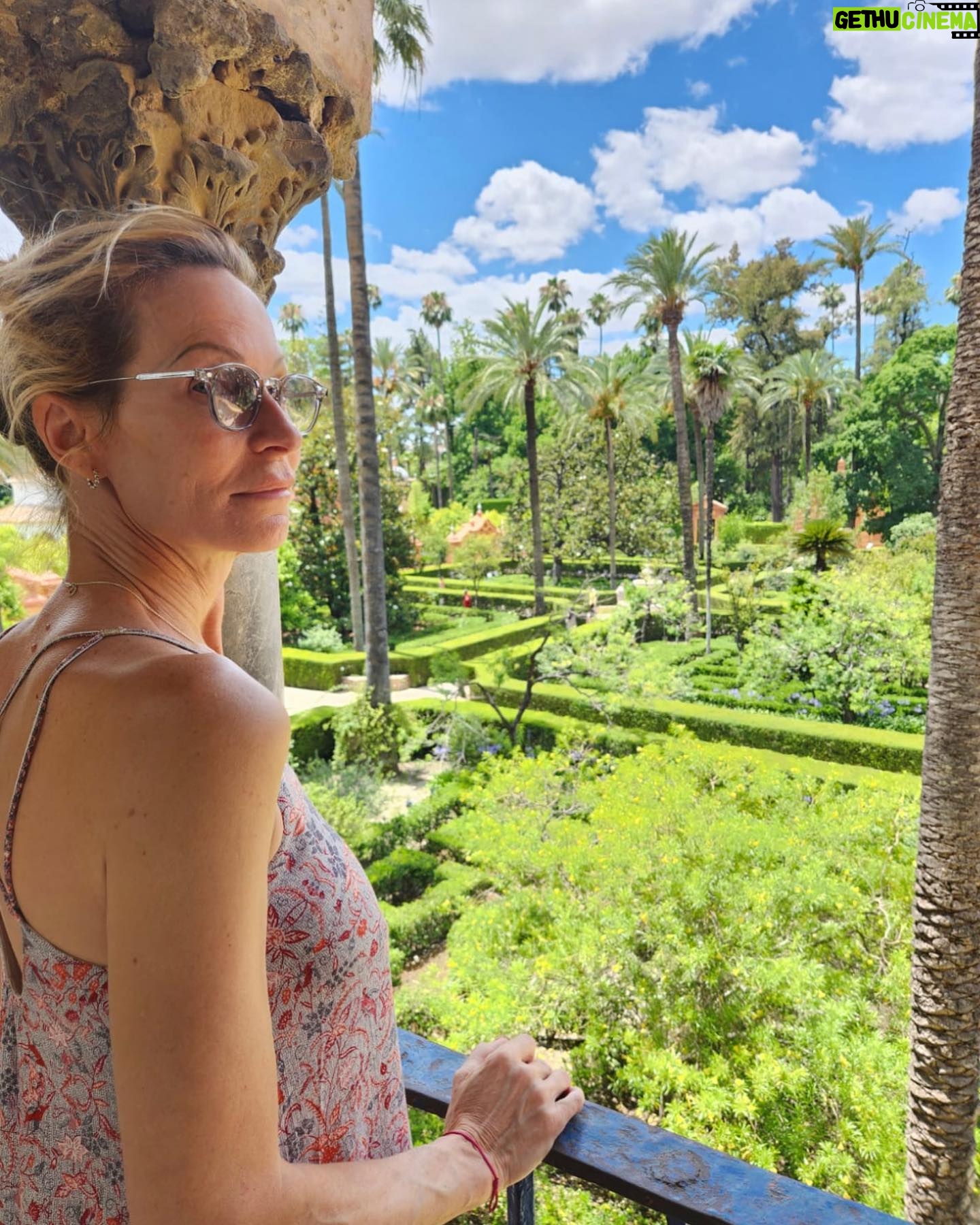 Rebecca Hampton - 0.9K Likes - Bonheur!
#merci#seville #sublime #bonheur #love
