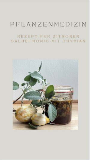 Rebecca Lina Instagram - Salbei-Zitronen-Honig gegen Husten, Halsschmerzen und Bronchitis ich verspreche euch es ist etwas ganz besonders gutes! Die goldgelbe Leuchtkraft dieses Sirups steckt voller wertvoller heilender Zutaten, die so wohltuend sind, das jeden Erkältung ganz schnell vergessen ist.
Dieser Sirup ist super lecker im Tee oder auch einfach so. 
Ihr braucht:

Ein großes Bügelglas 
2 Gläser flüssigen Bio-Honig
Eine handvoll Salbei Blätter (so zwischen 30-50 Stück)
Thymian
Die Schale von 3 Bio-Zitronen und wenn ihr mögt auch den Saft 
Die Zitronen, Salbei und Thymian gut waschen/säubern und trocknen, die Zitronenschale mit einem Sparschäler abschälen und gemeinsam mit dem Salbei in das große Weck oder Bügelglas geben, nun den Honig sowie den Saft der Zitronen  hineingeben und alle gut verrühren.
Jetzt heißt es nur noch warten! Stellt das Glas zum durchziehen für mindestens 4 Wochen zu Seite, achtet aber bitte darauf das der Salbei und die Zitronenschale immer gut bedeckt ist, ich habe es zwischendurch immer mal etwas geschüttelt Bzw. Drehe das Glas täglich . Nach dem durchziehen den Honig durch ein Sieb abseihen und in Apotheker Fläschchen abfüllen (am besten dunkle Gläser). Fertig!