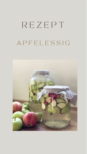 Rebecca Lina Instagram - Apfelessig! Spätsommerliebe der fermentation 

Zutaten:
5-6 Äpfel (am besten Bio-Äpfel) oder selbst gepflückt 
2 Esslöffel Zucker 
Wasser
Ein großes Glas mit weitem Hals
Ein sauberes, dünnes Tuch oder eine Gaze
Ein Gummiband oder Schnur
Anleitung:

-Die Äpfel gründlich waschen und in grobe Stücke schneiden. Du kannst die Schalen und Kerne verwenden, da sie natürliche Hefen enthalten, die den Gärprozess fördern.

-Das große Glas mit heißem Wasser gründlich ausspülen, um sicherzustellen, dass es sauber ist. Gegebenfals einmal mit Alkohol auswischen .
-Fülle die geschnittenen Äpfel in das Glas, lasse jedoch etwa 2,5 cm Platz am oberen Rand.
	Zucker hinzufügen (optional):
Wenn du möchtest, dass der Essig schneller gärt, kannst du 2 Esslöffel Zucker über die Äpfel streuen. Dies fördert die Fermentation. Wenn du keinen Zucker verwenden möchtest, ist das ebenfalls in Ordnung, der Essig benötigt dann jedoch etwas mehr Zeit. Optional kannst du auch Honig nutzen. Aber bedenke je mehr Zucker am Anfang je sauerer wird dein Essig. 
-Gieße Wasser in das Glas, um die Äpfel zu bedecken. Achte darauf, dass alle Äpfel vollständig unter Wasser sind, um Schimmelbildung zu verhindern. Ich legen am Anfang immer einen kleinen Unterteller oder den Deckel eines Weck Glases drüber um die Früchte nach unten zu drücken.
-Abdecken und rasten lassen:
Decke den Glasöffnung mit einem sauberen, dünnen Tuch oder einer Gaze ab und sichere es mit einem Gummiband oder einer Schnur.
-Wilde Fermentation:
Lasse das Glas an einem warmen, dunklen Ort stehen, idealerweise bei Raumtemperatur. Rühre den Inhalt einmal täglich mit einem sauberen (Holz) Löffel um.
-Wartezeit:
Der Apfelessig sollte nach etwa 3-4 Wochen fertig sein, kann aber auch länger gären, um einen intensiveren Geschmack zu entwickeln.
-Abseihen:
Sobald der Essig den gewünschten Geschmack erreicht hat, seihe die Flüssigkeit ab und gieße sie in eine saubere Flasche oder ein Glas mit Deckel. Du kannst die festen Apfelreste kompostieren oder entsorgen.
Lagere deinen Apfelessig an einem kühlenOrt.Er ist monatelang haltbar.
Ich hoffe ich habe all eure Fragen beantwortet - ansonsten gibt es ja die Kommentare- über einfache ❤️ freue ich mich auch