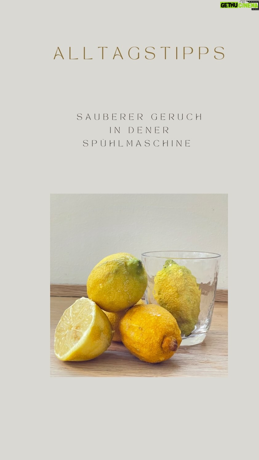 Rebecca Lina - 679 Likes - Kleiner Haushaltstipp
Ich habe gestern Zitronenpesto gemacht - und hatte somit eine ausgedrückte Zitronen zur Hand, die ich dann direkt mit in die Spülmaschine gegeben habe- es wirkt wie Glasreiniger und macht die Gläser schön strahlend und minimiert unangenehme Gerüche. Fals ihr morgens warmes Zitronenwasser trinkt habt ihr jeden Tag eine Zitrone zur Verfügung !
Alles Liebe, Rebecca
Music by Olexy 💛
#haushaltstipps #zitrone
#natürlichereinigungsmittel
#küche #spühlmaschine