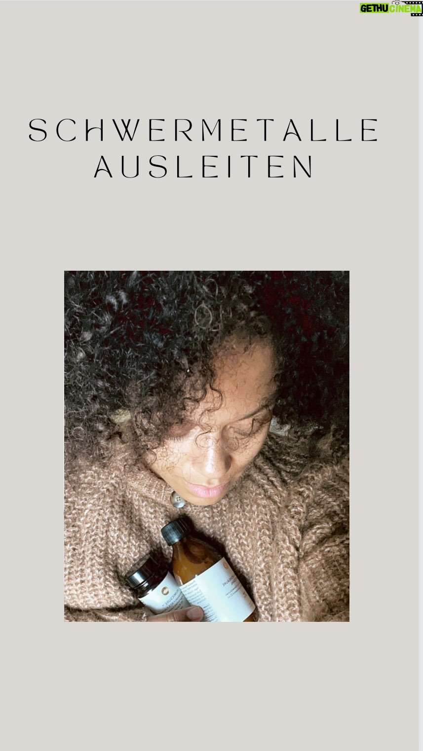 Rebecca Lina - 564 Likes - „Schwermetalle! Schwermetalle in meinem Körper ! Und zack wurde mir bewusst, wie viele unsichtbare Gefahren in unserer Umwelt lauern können. Gelenkschmerzen, Leberprobleme - all das ließ mich aufhorchen- also ging ich auf die Suche.
Schwermetalle gelangen auf verschiedene Weisen in unseren Körper: Trinkwasser, Abgase, Nahrung, Lebensmittel, Amalgam-Blomben, Atemluft, Hilfssroffe die in manchen Impfungen enthalten sind.
Die Symptome einer Schwermetallbelastung können vielfältig sein und man bringt sie in erster Linie gar nicht damit in Verbindung. Müdigkeit, Kopfschmerzen, Gedächtnisprobleme, Magen-Darm-Beschwerden, Hautprobleme, Nervenprobleme, äußere Symptome.
Um Schwermetalle Belastungen zu testen, stehen verschiedene Methoden zur Verfügung: Blutuntersuchungen, Urintests, Haaranalysen, Provokationstests, Bioresonanz-Therapie. Schaut gerne mal auf dem Blog - da gehe ich tiefer auf das Thema ein.
Wichtig ist, die Ausleitung von Schwermetallen sollte unter Ärztlicher/Therapeutischer Aufsicht erfolgen. Maßnahmen zur Vorbeugung und Ausleitung umfassen die Chelat-Therapie, Nahrungsergänzungsmittel, das Ersetzen von Amalgamfüllungen und die Minimierung von Umweltfaktoren.
Die Ernährung anpassen, Wasserfilter verwenden und bestimmte @sunday_natural Nahrungsergänzungsmittel wie Glutathion liposomal, Vitamin C 500, Sango-Koralle, Huminsäure und andere können bei der Schwermetallausleitung helfen. Die ganzheitliche Betrachtung des Körpers, insbesondere des Darms, der Leber und der Nieren, ist entscheidend.Und natürlich das Mikrobiom im Darm.
Habt ihr euch mit dem Thema schon beschäftigt?
Alles Liebe, Rebecca