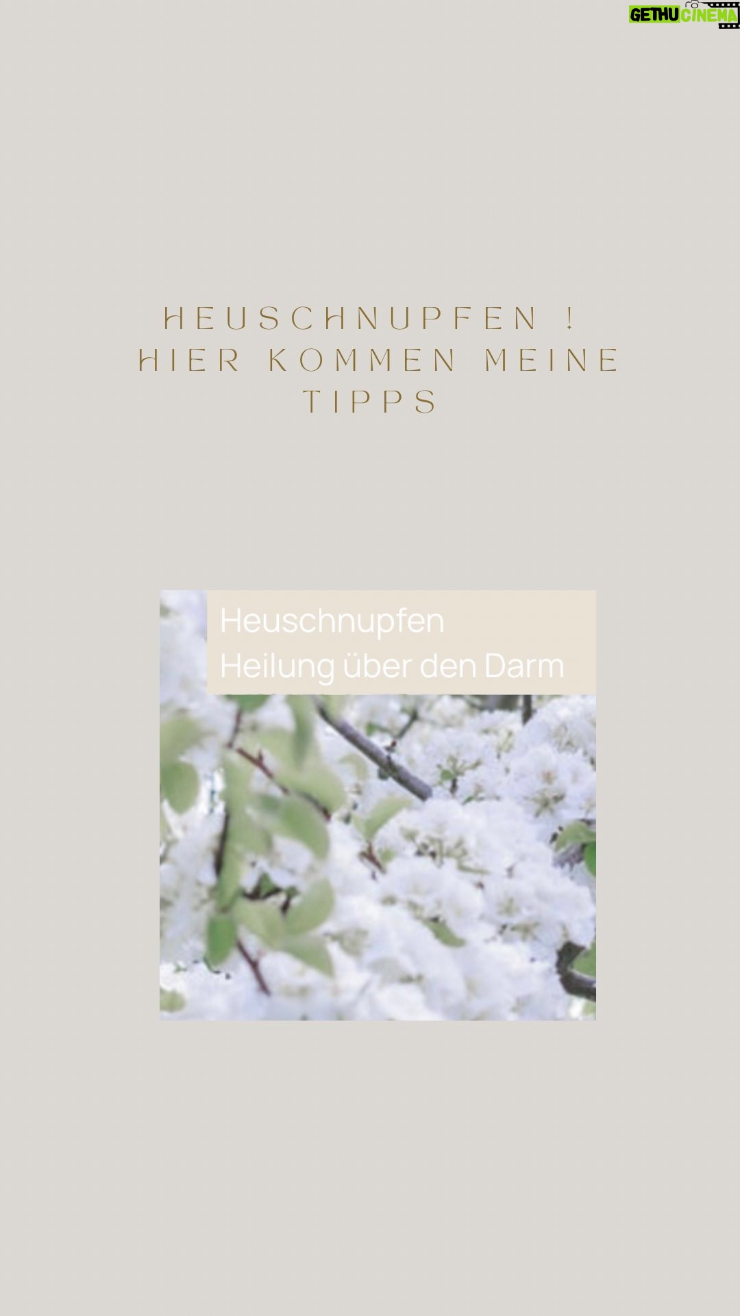 Rebecca Lina - 698 Likes - Ein gesunder Darm, ein allergiefreieres Leben!
Wusstet ihr, dass ein gesunder Darm dazu beitragen kann, Allergien wie Heuschnupfen zu reduzieren? 🌼 Der Schlüssel liegt im faszinierenden Konzept der Darm-Lungen-Achse- eigentlich total logisch, nachdem ich mich tiefer damit beschäftigt habe.
Der Darm und die Lunge sind miteinander verbunden und kommunizieren über ein komplexes Netzwerk von Signalen und Immunreaktionen. Eine gesunde Darmflora spielt hierbei eine entscheidende Rolle. Indem sie das Immunsystem reguliert, werden entzündungsfördernde Substanzen reduziert und das Gleichgewicht zwischen entzündungshemmenden und entzündungsfördernden Prozessen aufrechterhalten.Pollen die über die Atemsysteme in unseren Körper gelangen werden als „Feinde“ bekämpft .Das Immunsystem interpretiert bestimmte Eiweiße, die in Pollen enthalten sind, als schädliche Erreger“- das Immunsystem läuft auf Hochtouren.
Beim nächsten Kontakt mit den Pollen regen die IgE die Mastzellen dazu an, Entzündungsstoffe wie Histamin freizusetzen.Es reizt die Schleimhäute in Nase, Rachen und Augen, um die Pollen-Eiweiße, die es fälschlicherweise für Feinde hält, hinauszuspülen.
🌿Unser Immunsystem liegt im Darm🌿
Eine gestörte Darmflora kann durch Faktoren wie ungesunde Ernährung, Antibiotika oder chronischen Stress verursacht werden. Das kann zu einer erhöhten Durchlässigkeit der Darmwand führen und das Risiko von Allergien erhöhen.
Pflegt euren Darm liebevoll! Eine ballaststoffreiche Ernährung, Probiotika, Stressreduktion und das Vermeiden unnötiger Antibiotika können dazu beitragen, die Gesundheit unseres Darms zu fördern und Allergien wie Heuschnupfen in Schach zu halten.
- Darm Kuren
- Gute Darm Bakterien
- Omega 3 mit DHA und EPA
- Allergie Kräuter Tee Mischungen
- das Darm Mikrobiom stärken
- Augentrost Kompressen zur Linderung
- Spagyrik Spray zu Linderung
__________
Wichtig für alle Schwangeren ! Bei einer vaginalen Geburt werden die Babys mit wichtigen Bakterien besiedelt unteranderem für ihren Darm- bei einer Bauchgeburt kann es über ein Vaginal Seeding nachgeholt werden.
#GesunderDarm #AllergienAdieu #DarmLungenAchse #Gesundheit #Heuschnupfen