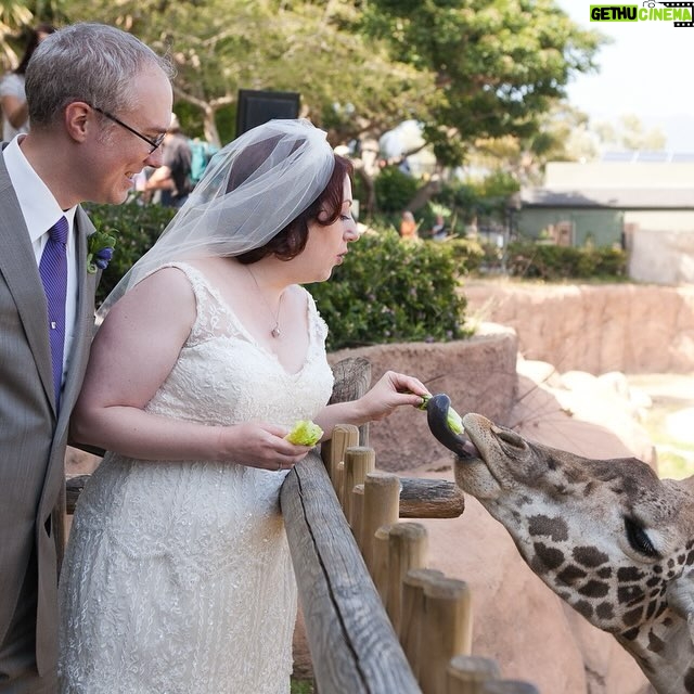 Rebecca Metz - 353 Likes - Just saw the news that Audrey died last night. It may seem strange to mourn a giraffe, but Audrey meant a lot to me. She–specifically a photo of her beaming proudly between a bride and groom–is the reason I latched on to the idea of getting married at @santabarbarazoo. And why we’ve ended up with a lot of weird & beautiful giraffe art/tchotchkes. And this photo of Dad feeding her… Well. It’s precious to me. Goodbye, sweet Audrey. Rest easy.
