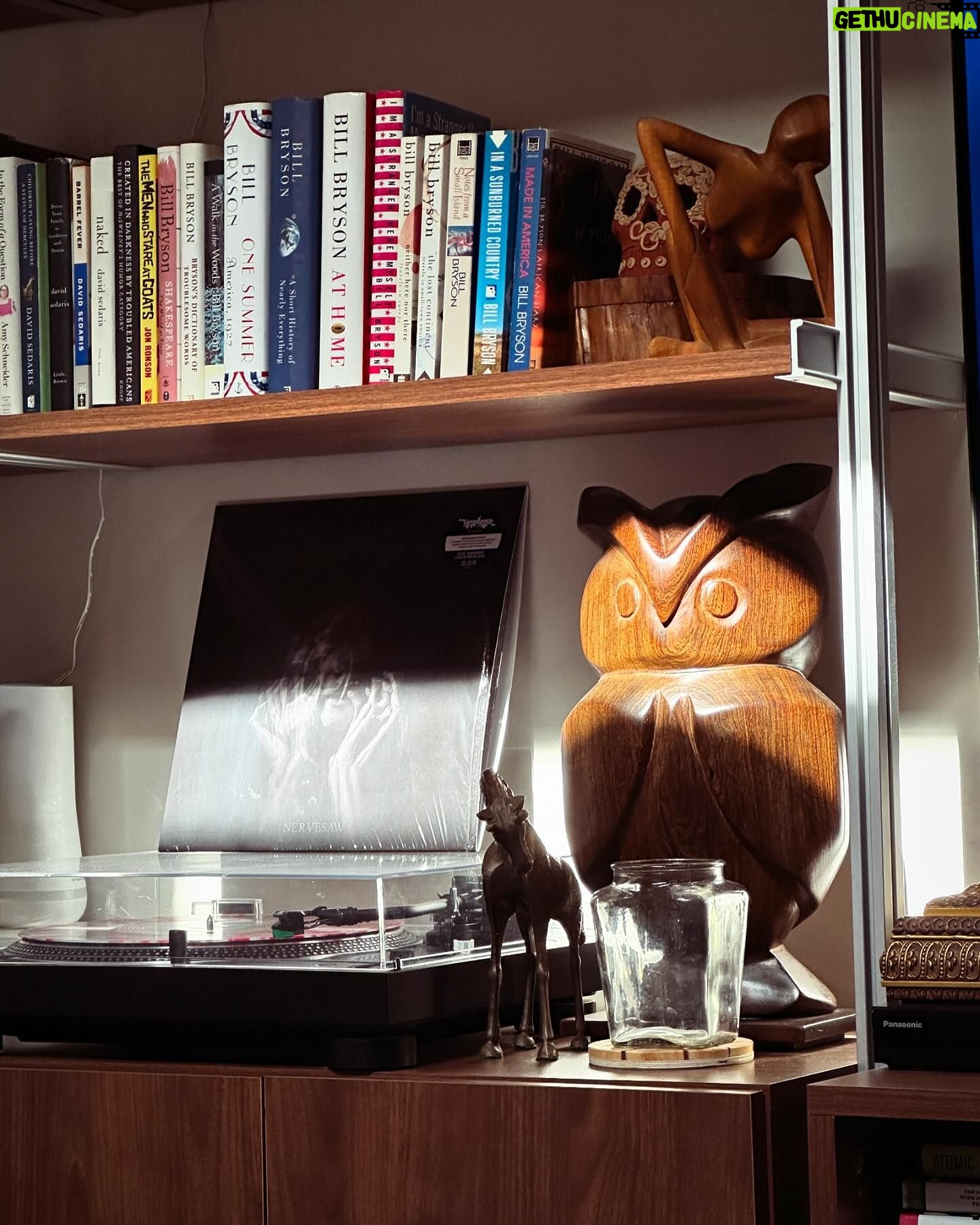 Rebecca Metz - 68 Likes - This owl used to live with my grandparents in Queens & is as shocked as anyone to discover that he truly loves LA.