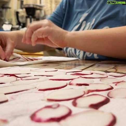 Rebecca Metz - 176 Likes - The radish flower whisperer #passover