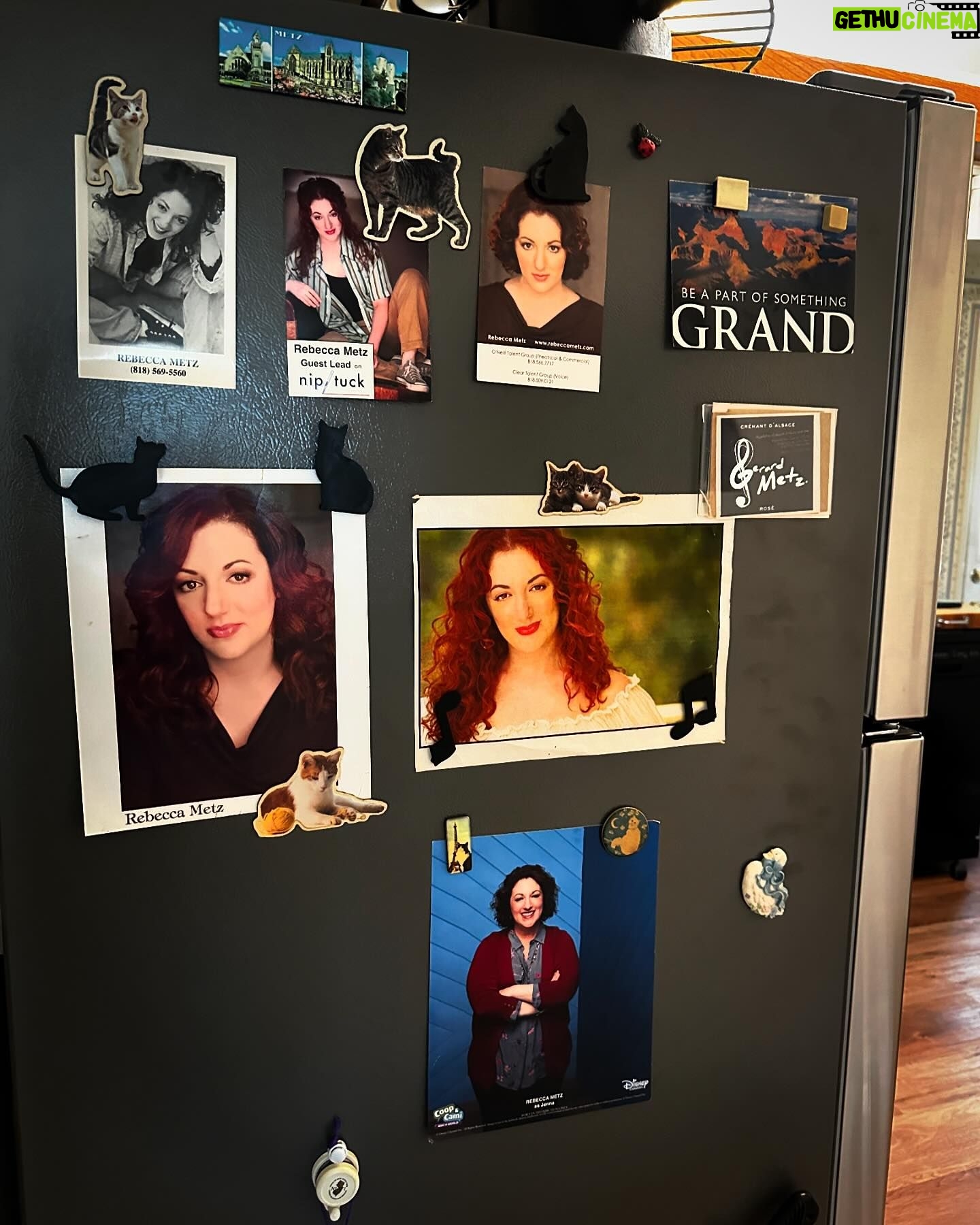 Rebecca Metz - 263 Likes - New fridge, same shrine #momanddad #catmagnet
(You can call those #s but you won’t get me.)