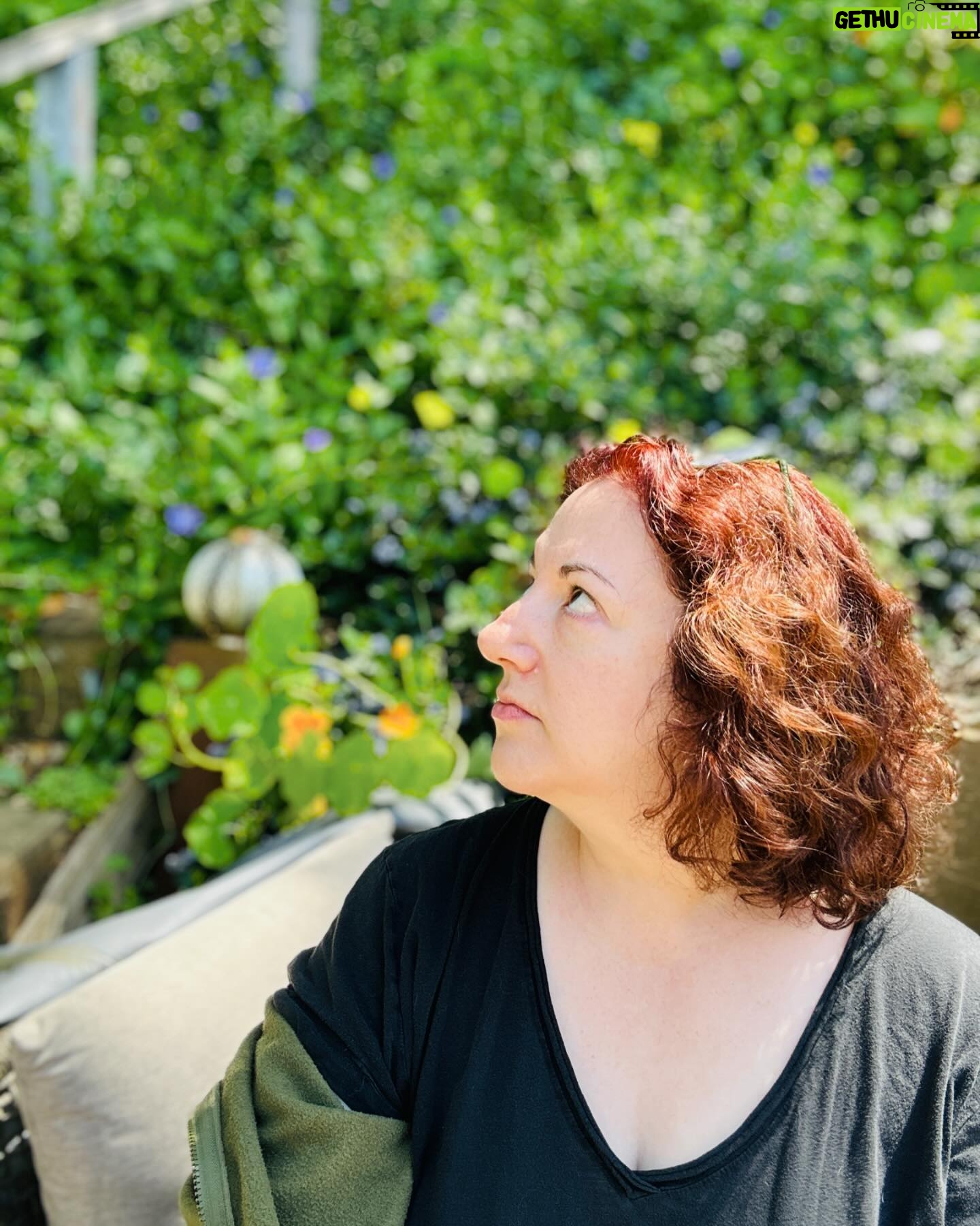 Rebecca Metz - 173 Likes - I was tinkering with camera settings when I heard - despite my AirPods - what that sounded like a *huge* swarm of bees. Figured it had to be a scooter or something… but it was constant & growing & coming from above. The timer caputured the moment I realized that it was in fact… A HUGE SWARM OF BEES. 🐝
(I think they were moving back in to the box hives up the hill. Welcome home, beebees!)