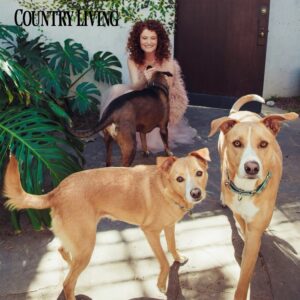 Rebecca Wisocky Instagram - Thank you to @countrylivingmag & @terri_robertson2022 for the lively chat about @ghostscbs #YorkPA #Dogs #Trees #Neighbors & #Corsets 😂🥰 

📷: @selashiloni 
Hair: @richardnormangrant 
MU: @lexwmakeup 
Styling: @mickeyboooom 
Doggos: #adoptdontshop 
💓 @hitlivingfoundation @santuario.sasfapr 💓