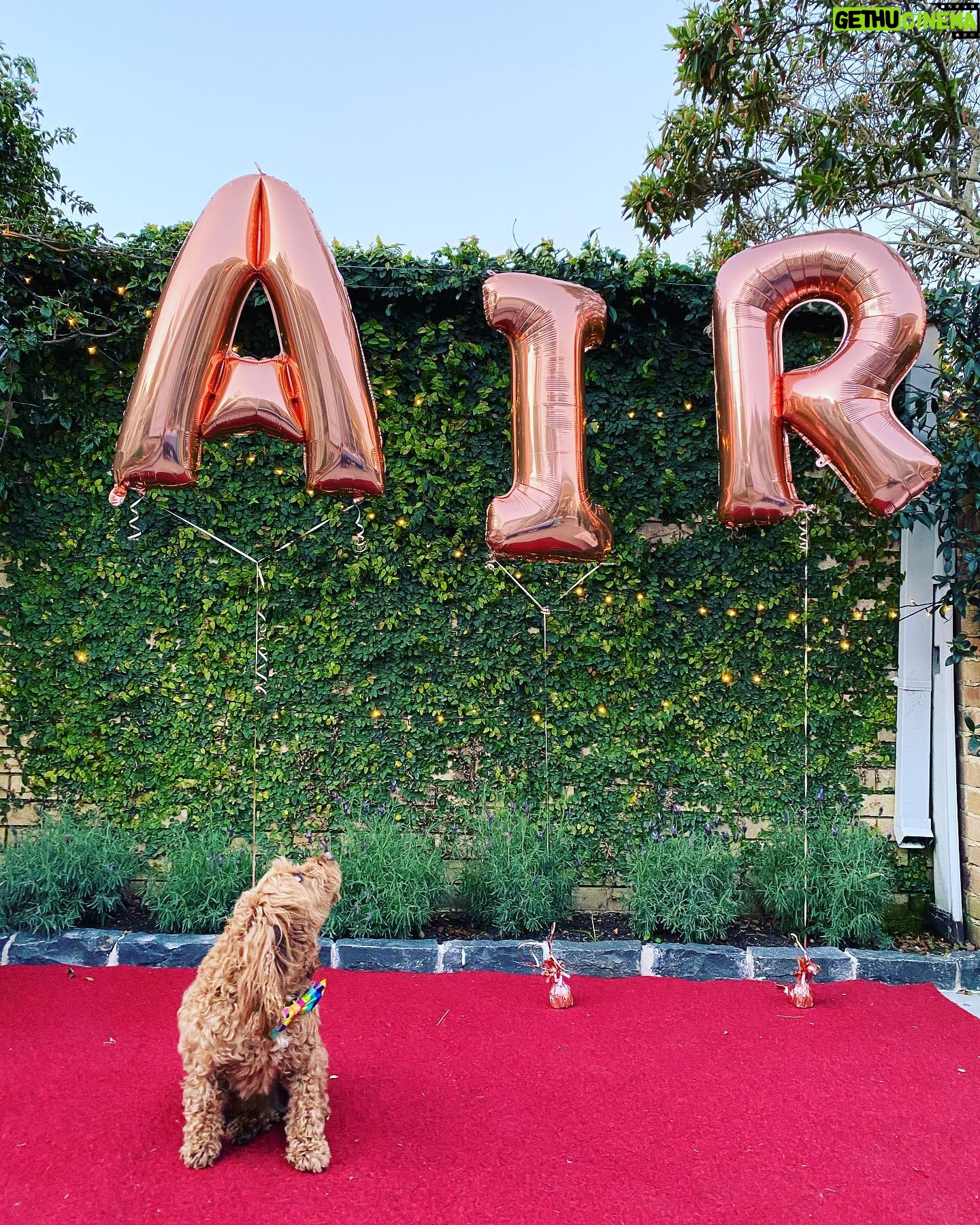 Rebecca Breeds Instagram - Our short film AIR is finally complete. Can’t wait to share it with you all... stay tuned... 🎬