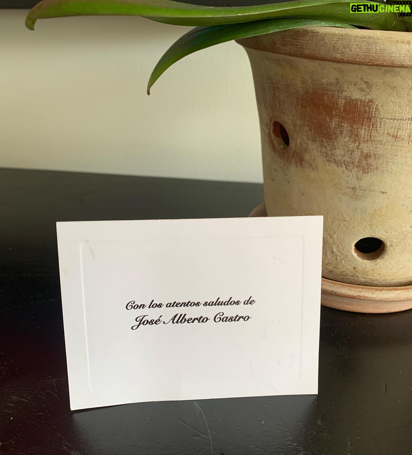 Rebecca Jones Instagram - @elgueromex Gracias por invitarme a crear a Lucía. Estoy feliz con ella, con tu amable equipo, con la gran historia y con el sólido elenco, gozando cada segundo del proceso de algo que estoy segura será un éxito. Y gracias por mi hermosa orquídea! #cabo #orchid #actor #actress #grandeshistorias