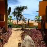 Rebecca Jones Instagram - Palm trees are palm treeing. Cacti are cactusing. Sand is sanding. Sky is skying. Rock is rocking. Human beings are being. Or so it should be. That’s all there is, I say. To be here. To be. A wink to #alanwatts on existence. #beauty #now #life