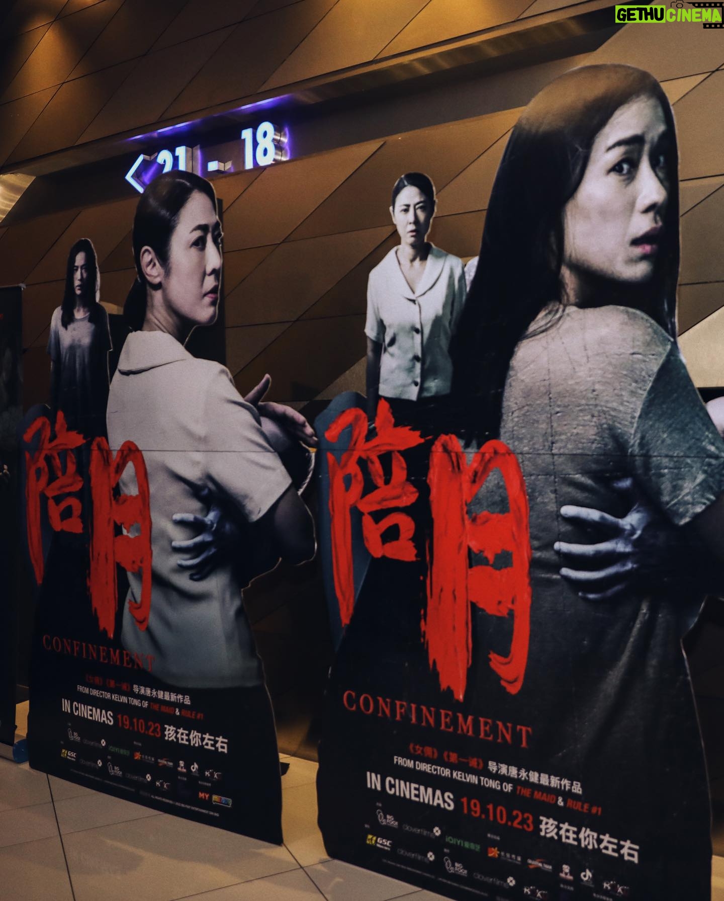 Rebecca Lim Instagram - 《陪月》Malaysia gala premiere was so much fun and left me feeling all warm and fuzzy with all your love 🤍🫶🏻🤍 谢谢马来西亚的朋友们 🫶🏻 See you all at the Singapore gala premiere this evening 🤍😊#ConfinementTheMovie