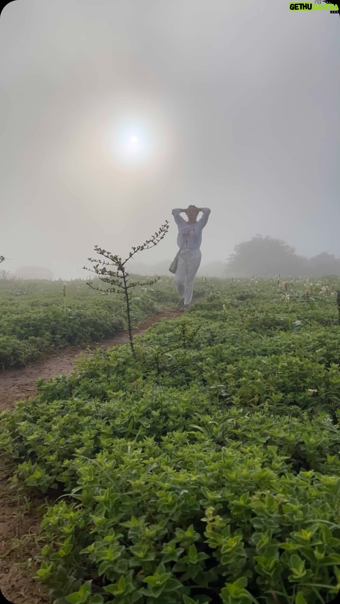 Reena Kapoor - 1.5K Likes - Kaas Plateau, also known as Kaas Pathar, is a UNESCO World Natural Heritage Site in Maharashtra. It is also known as valley of flowers. Fortunately, the weather was awesome when I went but unfortunately, the bloom hadn’t started.