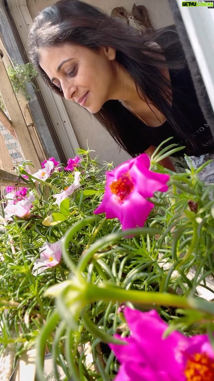 Reena Kapoor - 3.1K Likes - Only plant lovers can relate to this reel 😊