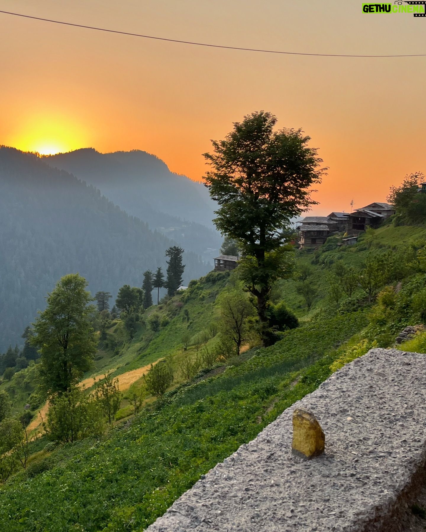Reena Aggarwal Instagram - Himachali dogs and Himachali sky❤️🫶 Collecting memories…..swipe till the end to spot my favourite thing on the trip.. let me know in the comments what you see🙈 . . . . . #travel #travelphotography #travelgram #traveler #traveladdict #himachal #himachalpradesh #traveldiaries #himachaldiaries #birbilling #jibhi #hills #traveling #travellife #himalayas #travelinspiration #travelindia #travelandexplore #beautifuldestinations