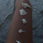 Regina Burd Instagram – Завитки ракушки белой
Скромно светят перламутром.