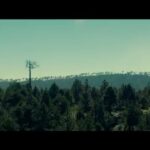 Regina Reynoso Instagram - Todosss veann esta mega película "MIENTRAS EL LOBO NO ESTÁ" donde comparto crédito con un equipo de trabajo Wow. 🎞 #Whilethewolfsaway