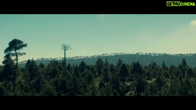 Regina Reynoso Instagram - Todosss veann esta mega película "MIENTRAS EL LOBO NO ESTÁ" donde comparto crédito con un equipo de trabajo Wow. 🎞 #Whilethewolfsaway