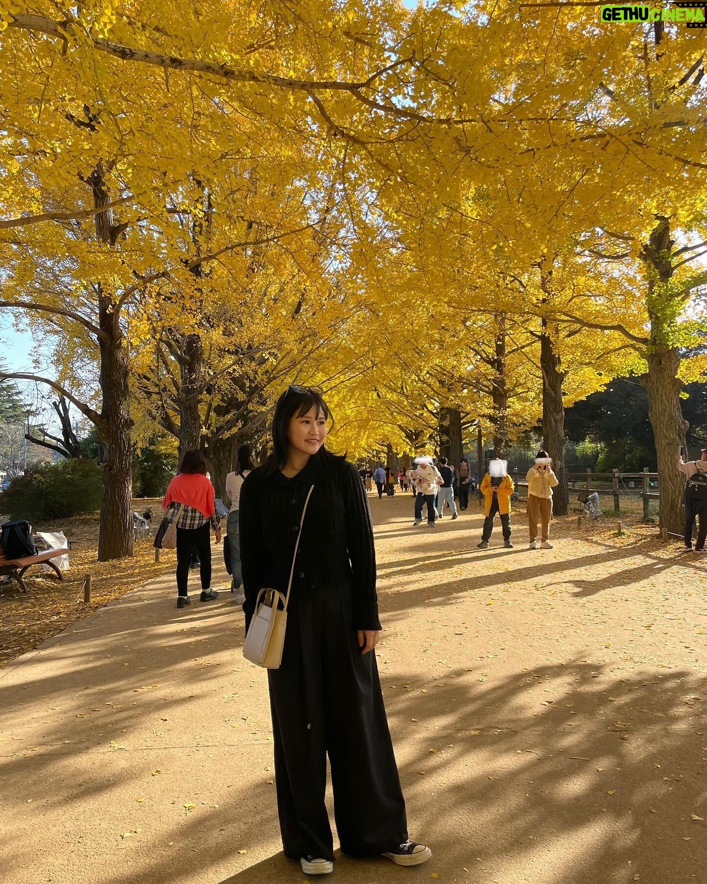 Reika Oozeki Instagram - . この前マミポとばあちゃん2人を連れて 一緒に紅葉見てきた🍁 綺麗だった〜🫶🏻 久しぶりの女子会でドライブがてら 沢山歩いて話して楽しかったな。 ずっと元気でいてほしい😚 マミポ地図好きすぎて一生1人で公園の地図 見ながらあれがこれでって話してて おもしろ可愛かったwww みんなずっと話してるし、 話すぐ変わるし騒がしい笑 女子会って結局騒がしくなるよね😂 #紅葉