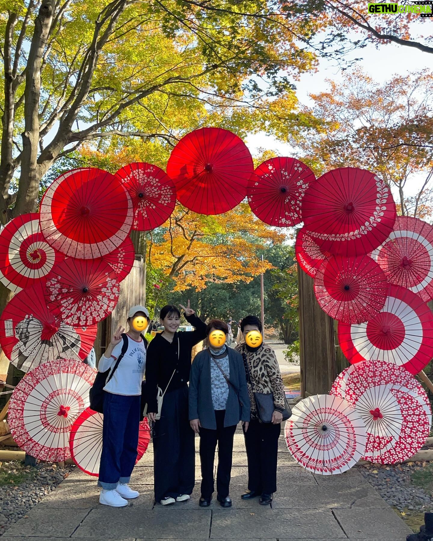 Reika Oozeki Instagram - . この前マミポとばあちゃん2人を連れて 一緒に紅葉見てきた🍁 綺麗だった〜🫶🏻 久しぶりの女子会でドライブがてら 沢山歩いて話して楽しかったな。 ずっと元気でいてほしい😚 マミポ地図好きすぎて一生1人で公園の地図 見ながらあれがこれでって話してて おもしろ可愛かったwww みんなずっと話してるし、 話すぐ変わるし騒がしい笑 女子会って結局騒がしくなるよね😂 #紅葉